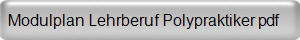 Modulplan Lehrberuf Polypraktiker pdf
