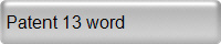 Patent 13 word